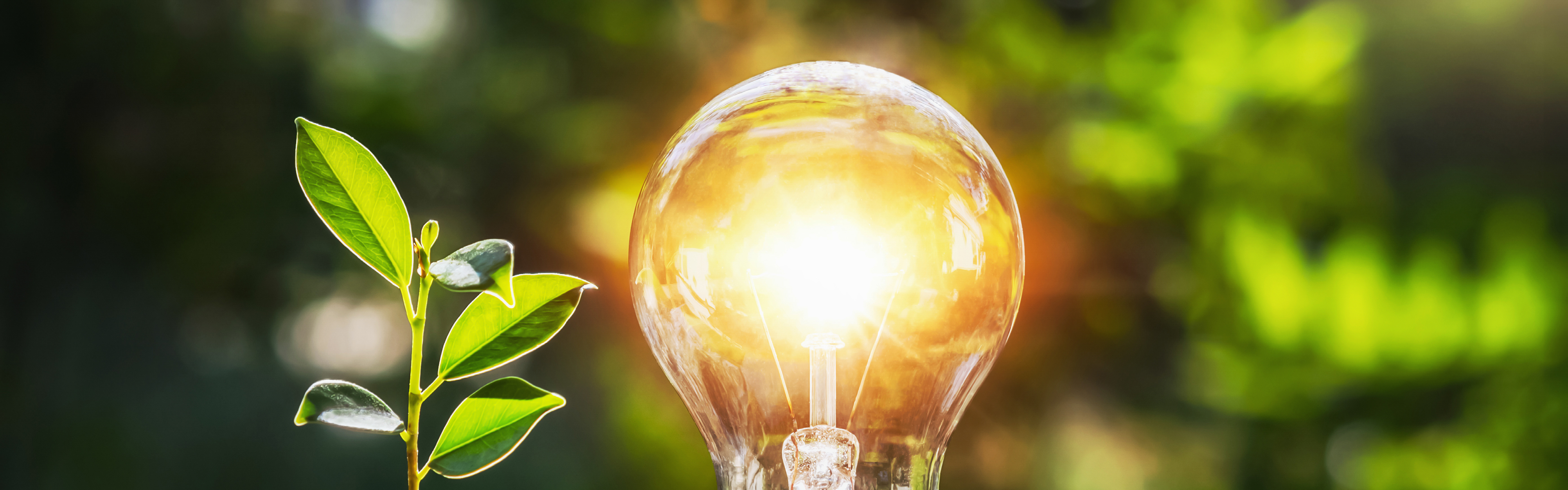 Energie- und Umweltmanagement
