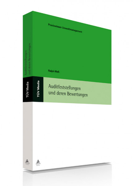 Auditfeststellungen und deren Bewertungen (E-Book)